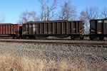 NS 10134